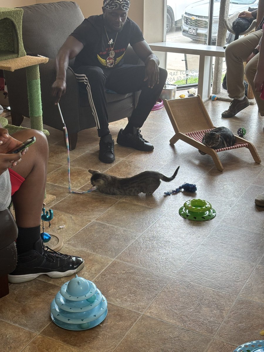 Players had the opportunity to hang out at <a href="/coffeecatswdm/">Coffee Cats WDM</a>! All of the cats are available for adoption from <a href="/ARLIowa/">Animal Rescue League of Iowa</a>.

Coffee Cats has a special surprise during this weekend’s halftime Corgi Chase!
