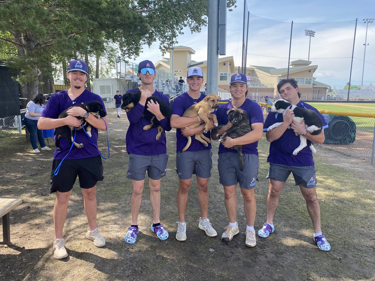 Just a bunch of daawgs 🐶