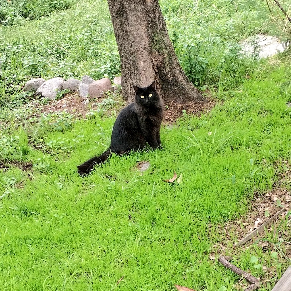 Nos espimeawmos👁️👁️