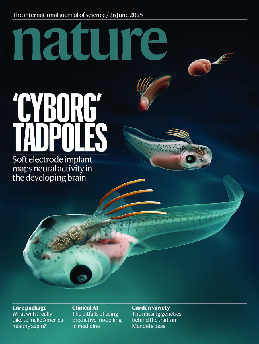 ganoopyliujia's tweet image. Our latest work is on the cover of @Nature (June 26, 2025)! Even more special: the stunning illustration was hand-drawn by first author Hao Sheng — a true scientist-artist.