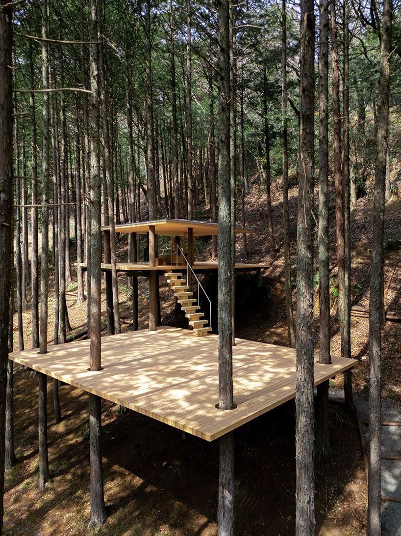 designboom's tweet photo. tree trunks pierce through sauna shelter by DAICHI in japanese forest https://t.co/h71soarpYS https://t.co/b0xLoUUXII