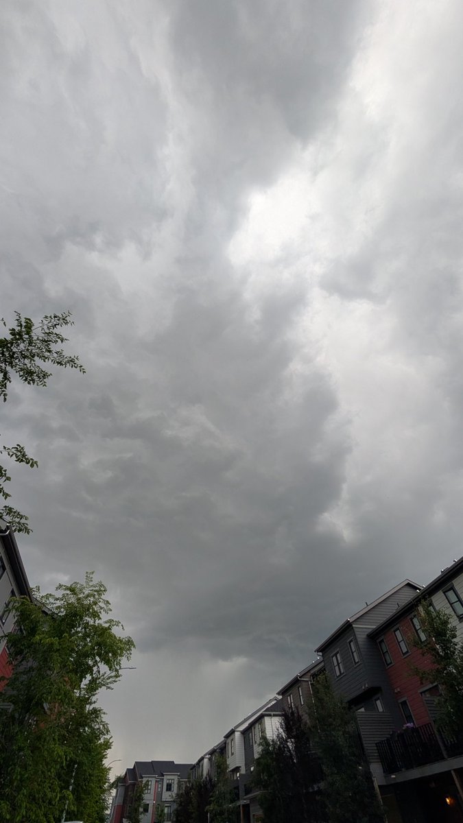 Chris LeDrew tweet media