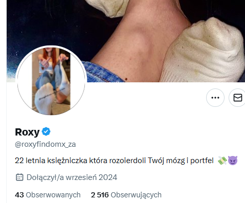 Findom ALERT 🇵🇱 / 🌍 tweet media