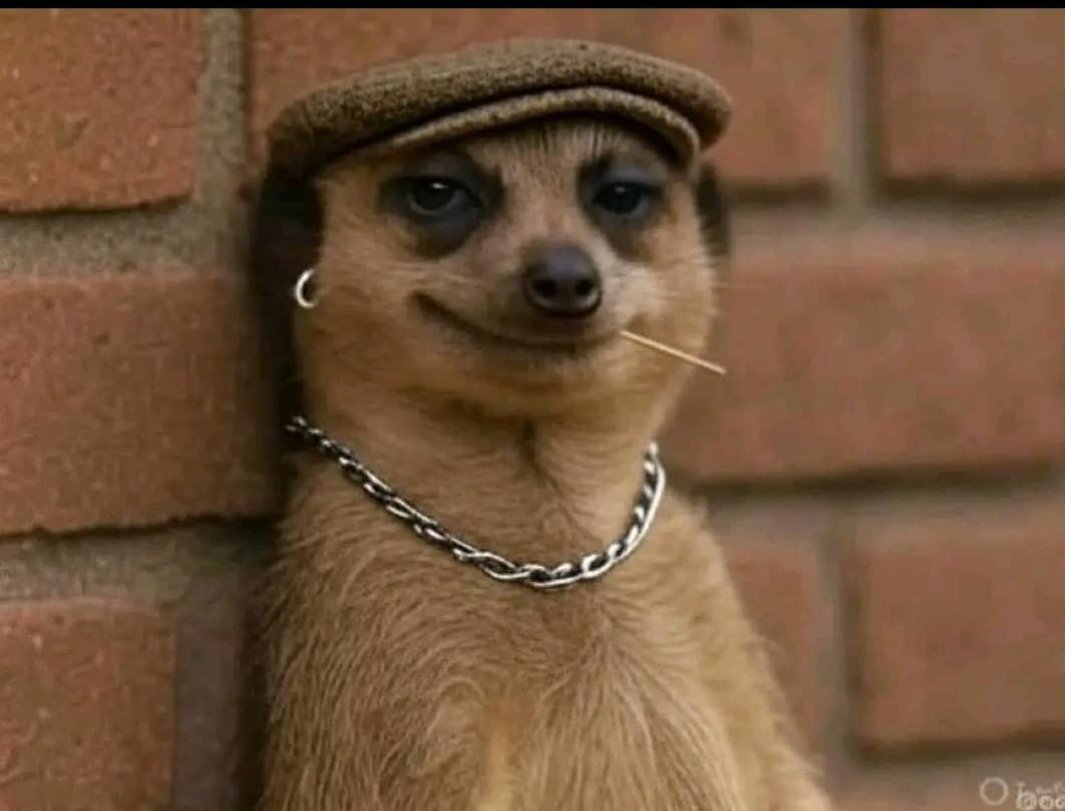 Your girlfriend watching you struggling to raise 100k for hair yet she needs a ring this year