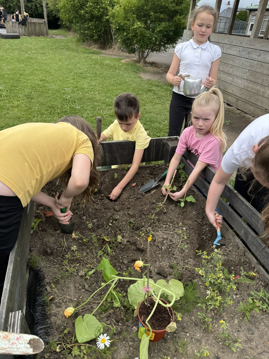 Primary4 tweet media