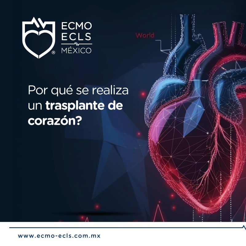 EcmoMexico's tweet photo. #ConocimientoECMO
¿Por qué se realiza un trasplante de corazón?
#ECMO_ECLS_México #SalvandoVidas #TerapiaECMO #Chihuahua #Gdl #CDMX #TrasplanteDeCorazón
Urgencias, atención y traslados 24/7
☎ GDL 33 2332 6342
☎ CDMX 55 7662 3520
☎ Chihuahua 61 4529 7585 https://t.co/BWosu1RWEX
