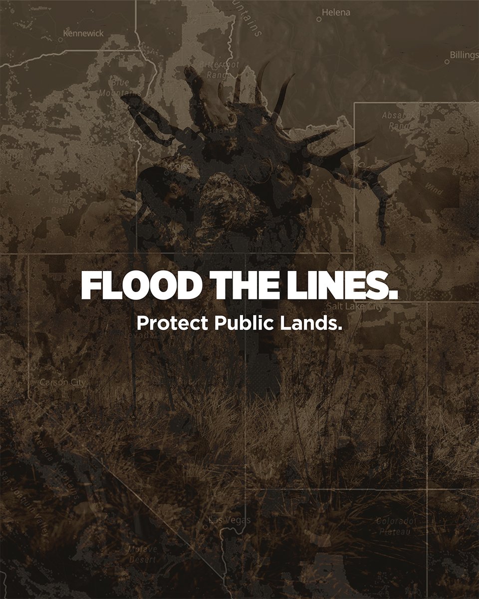 Eberlestock's tweet image. Call for YOUR Public Lands
Call your senator and tell them to NOT sell our public lands. (202) 224-3121