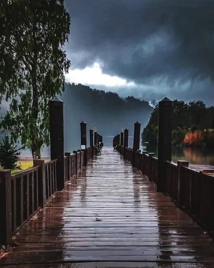 #PuertoFuy en la región de Los Ríos 🇨🇱
"Nunca dejen q alguien les diga, q no somos el país más lindo del mundo..."
