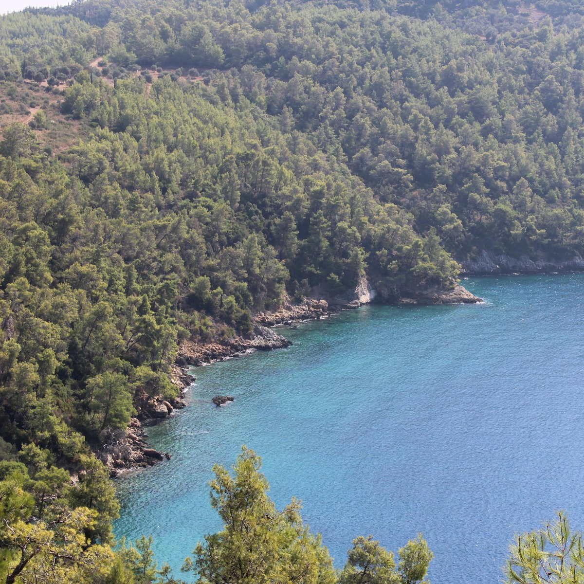 bosunatiklama's tweet photo. Resmi Gazete'de yayımlanan kararla, Kültür ve Turizm Bakanlığı'na tasarruf hakkı verilen orman alanlarının, kıyı kenar çizgisinin deniz tarafında kalan kısımları turizm projelerine tahsis edilebilecek. https://t.co/cag2ElhYYV