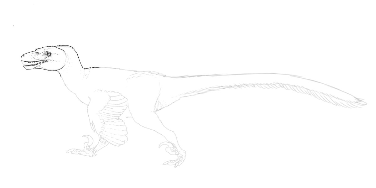 MrFragilis's tweet image. Deinonychus wip