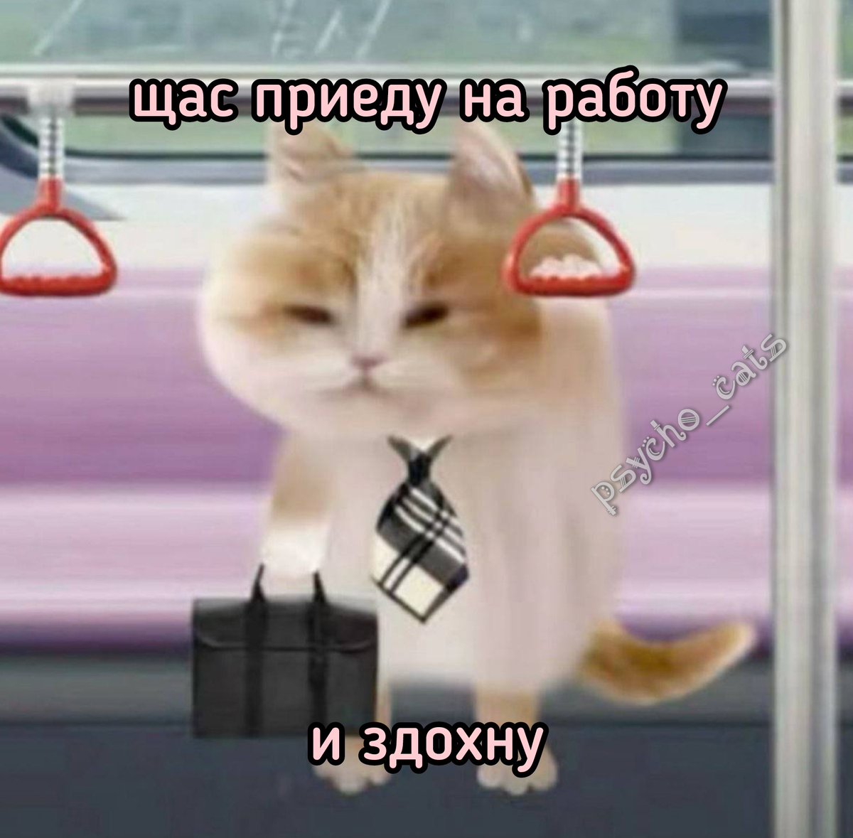 psycho__cats's tweet photo. https://t.co/GHz8urJ43K