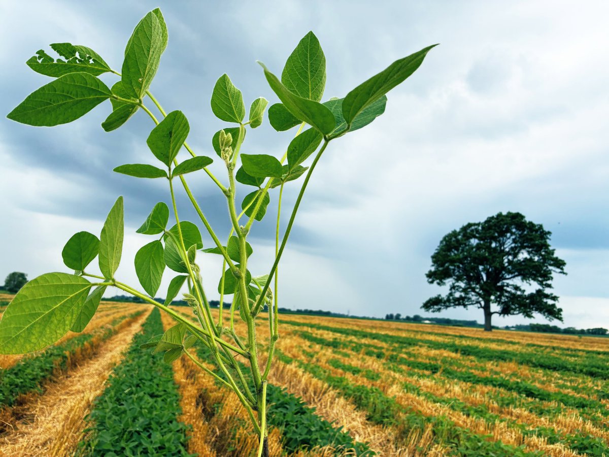 The most badass picture of my relay cropping career

It’s about to get epic