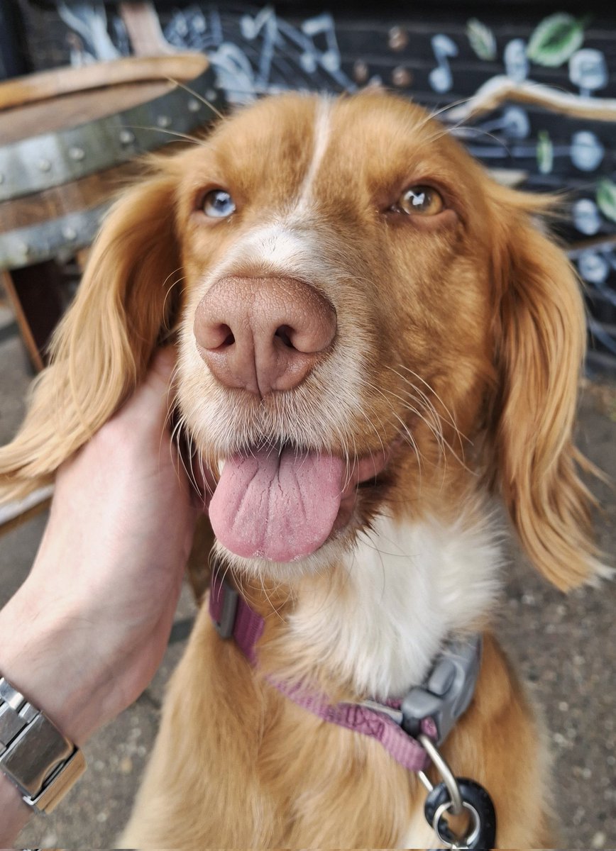 HaychAF's tweet image. yeah I'd die for her