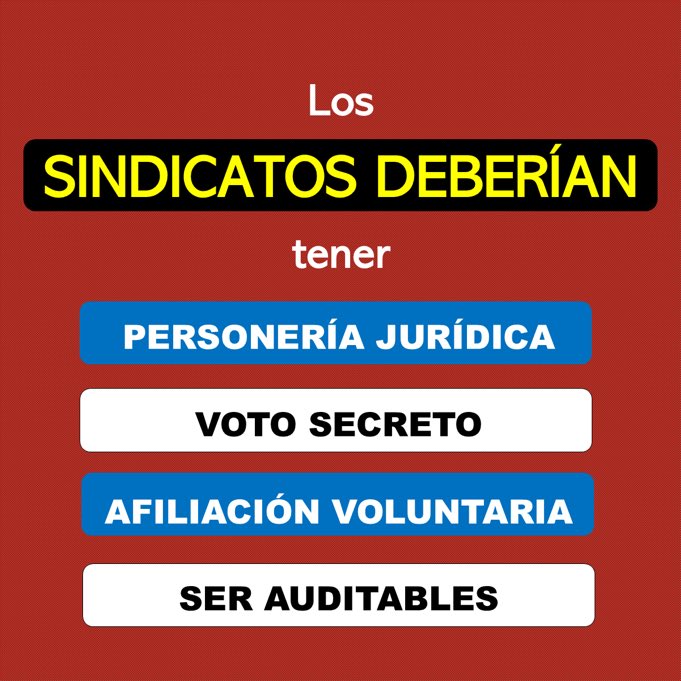 ana_grimbaum's tweet image. 