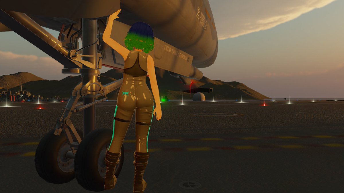 Found this ship with these cats onboard, still in flying order!