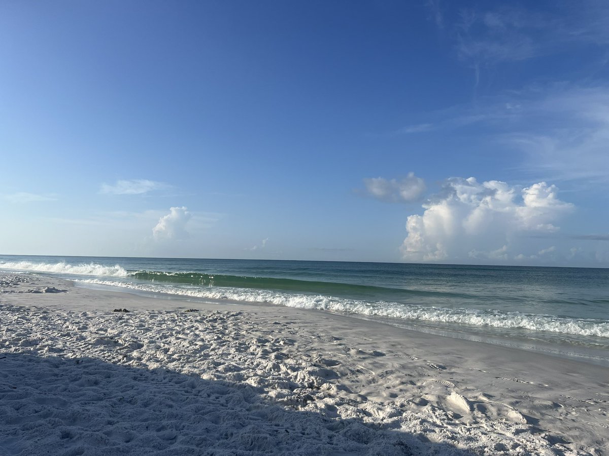 Ava_D_Workman1's tweet image. Vacay mode❤️ 🌴☀️