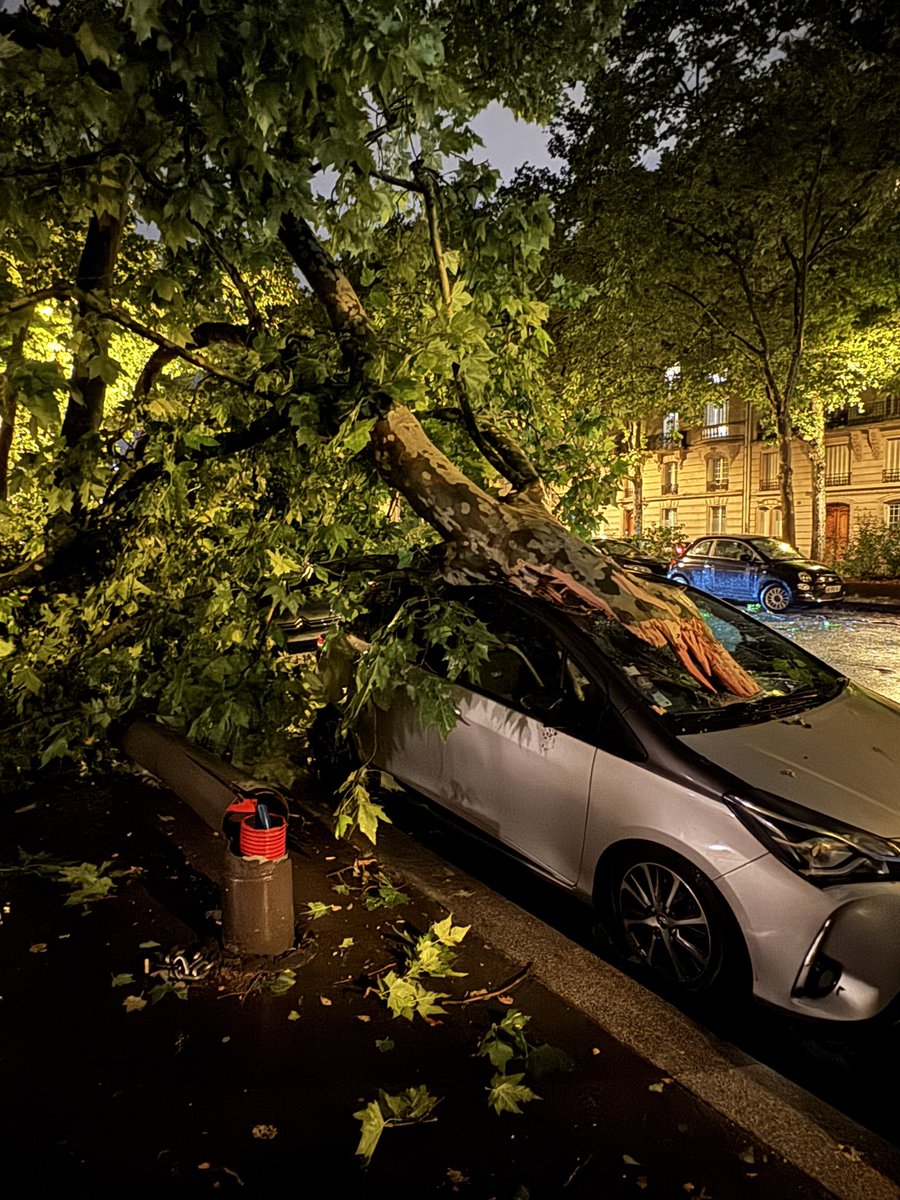 Jean-Baptiste Achard tweet media