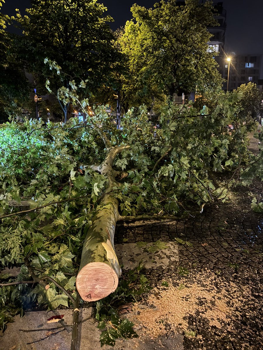 Jean-Baptiste Achard tweet media