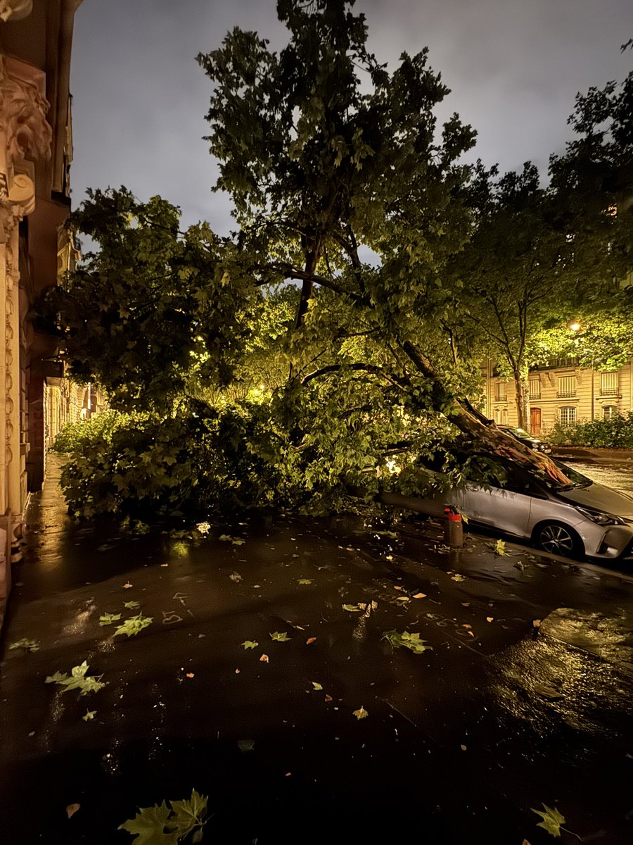 Jean-Baptiste Achard tweet media