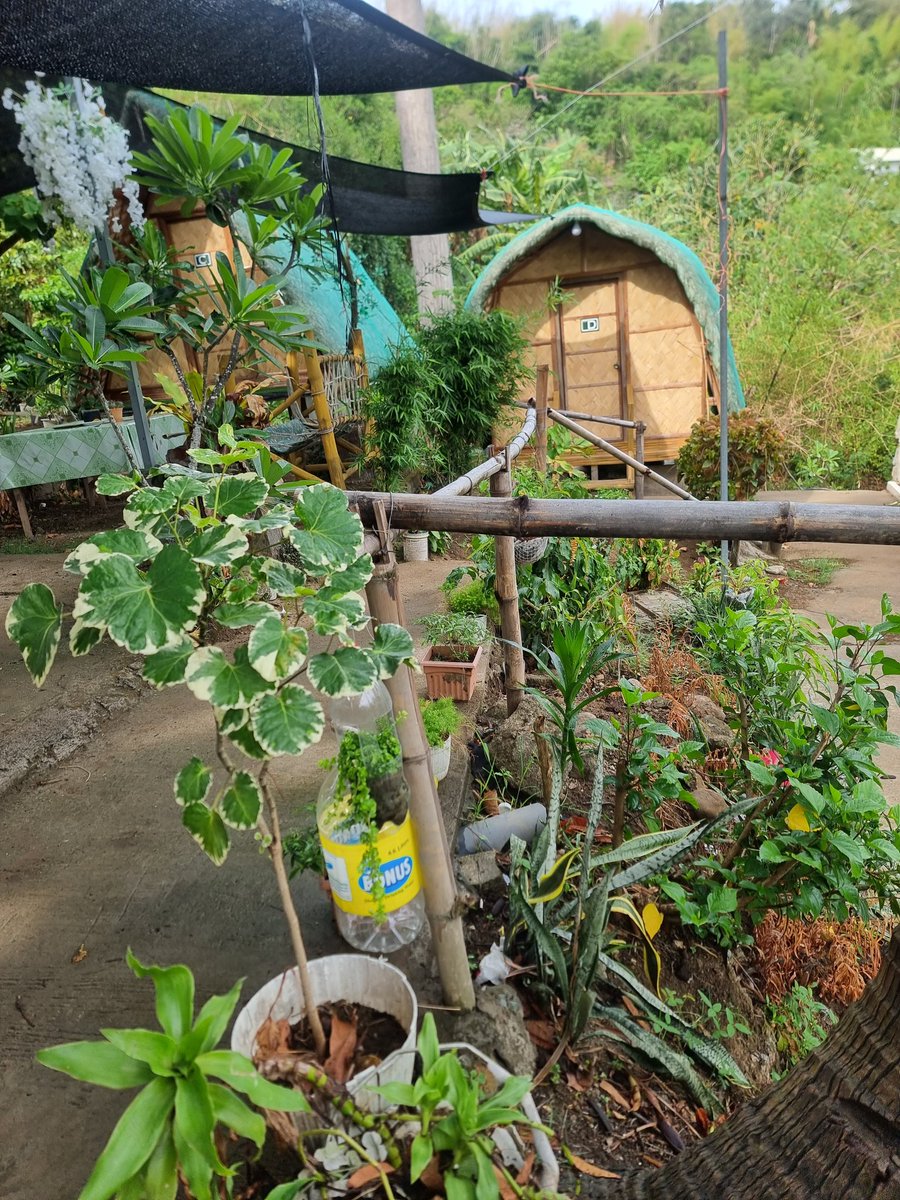 Lost Paradise Private Resort tweet media