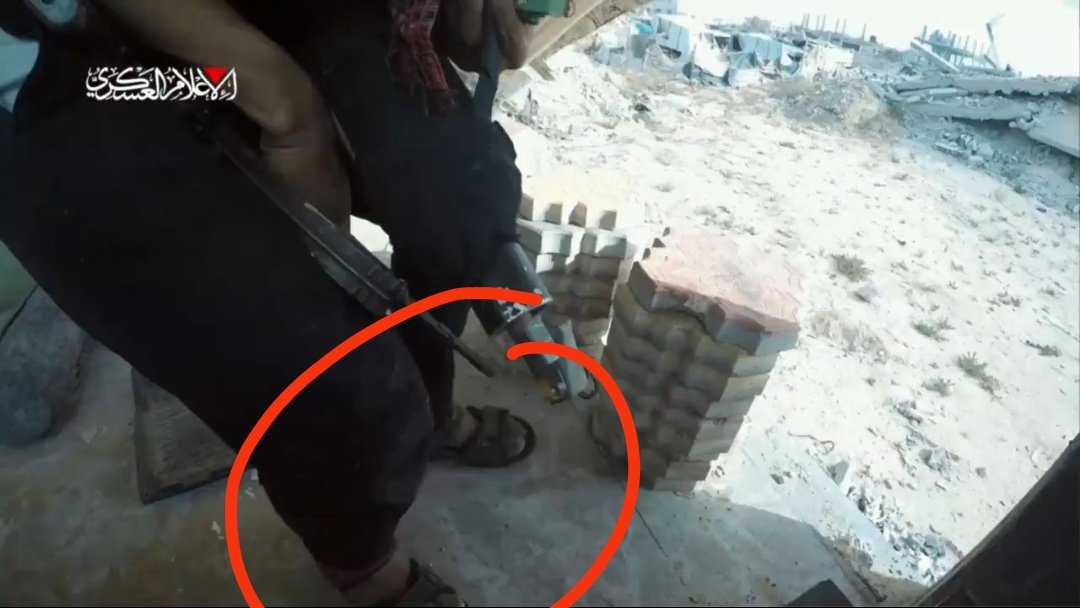 همام شعلان || H . Shaalan tweet media