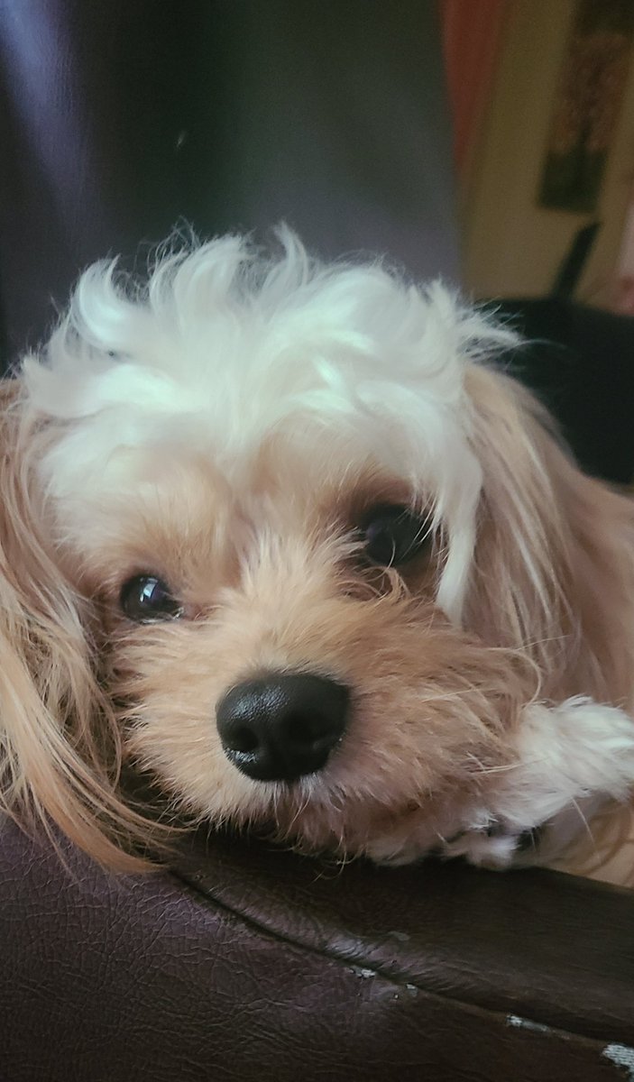 Just look at that sweet face 😍