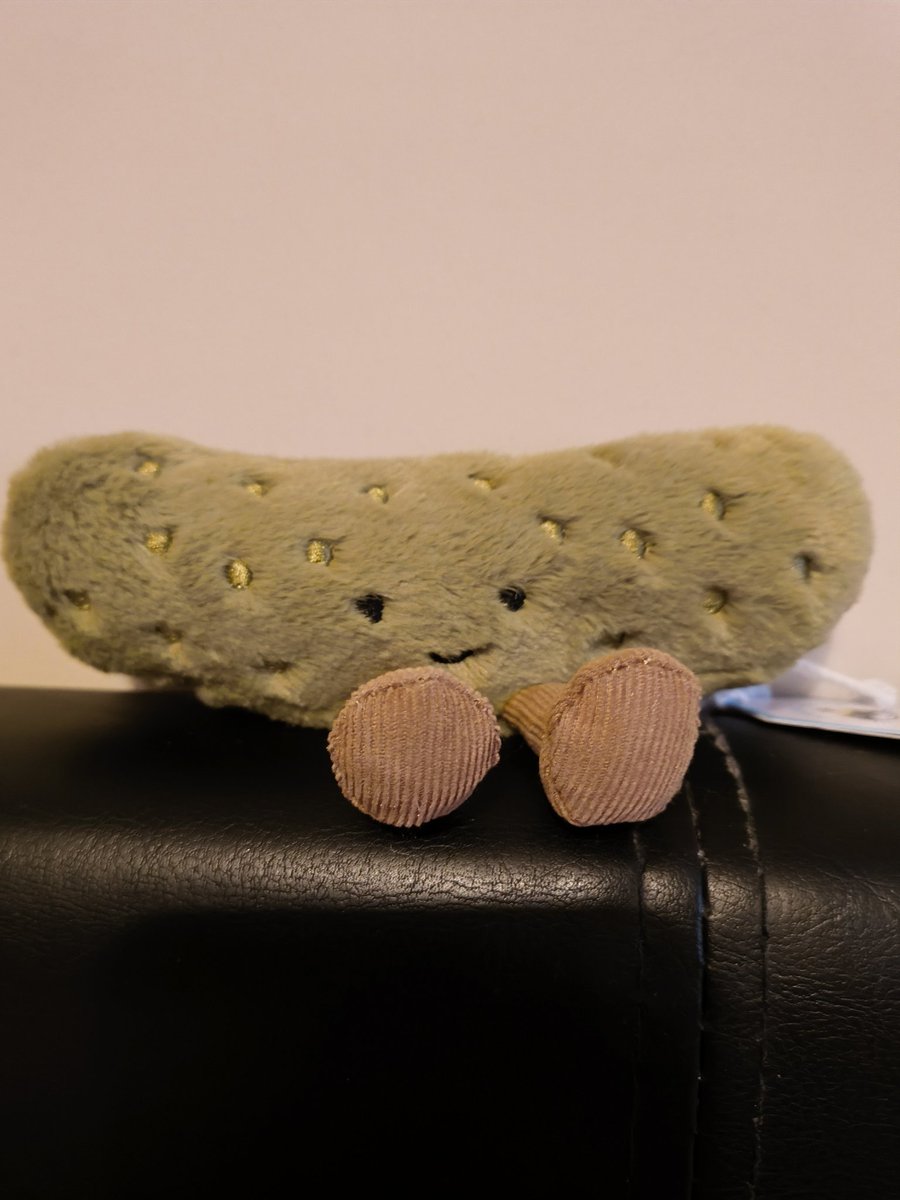 Lil guy is too cute. He watches over all the other plushies with food names🥒