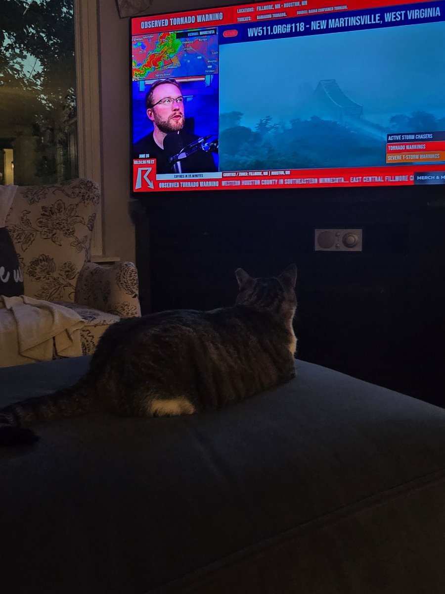 Goose is mostly blind,  but still likes watching <a href="/ryanhallyall/">Ryan Hall, Y’all</a> during thunderstorms.