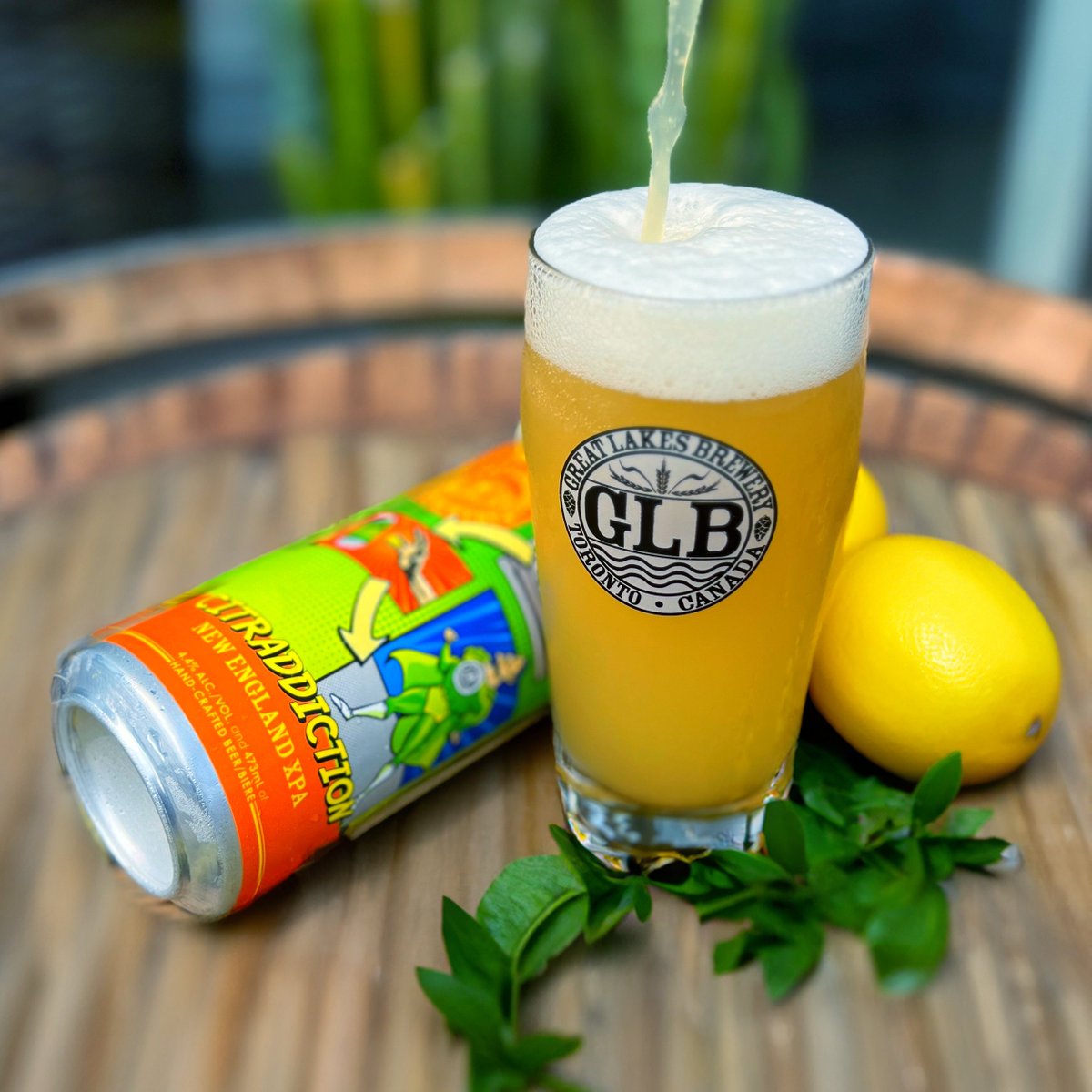 We've got 3 holiday heroes coming your way this week!

🍺 Superlite
🍺 Lo-ABV Lager
🍺 3.2% abv

🍺 Simcoe Republic
🍺 Gluten-Reduced Pale Ale
🍺 5.0% abv

🍺 Citraddiction
🍺 XPA
🍺 4.4% abv

Grab these 3 at the Brewery or Online Shop Thursday or at the GLB Brewpub Friday!