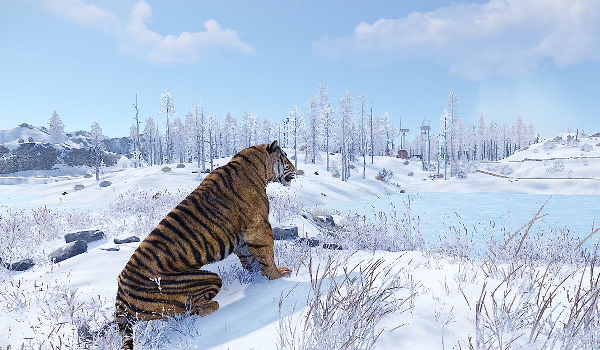 Getting ready for Christmas In July 🤘