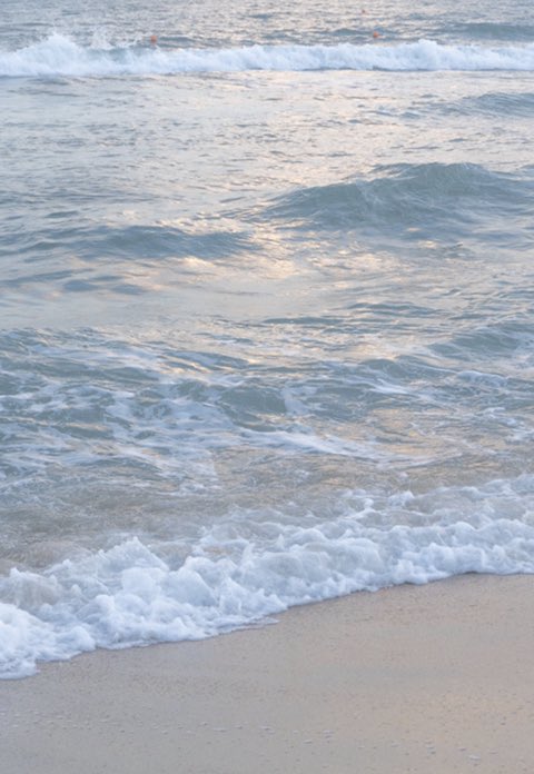 바다는 비에 젖지 않는다