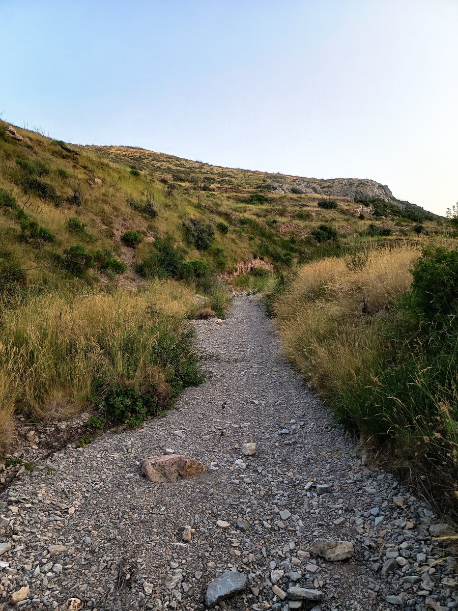Hardacho's tweet photo. Visita al Alto de Yuste y barranco de Pedregós, dos incendios en 10 anos que no han hecho mella en su gran biodiversidad @GVAMediAmbient #Jerica @ertiodelatiza @XeviBolumar https://t.co/Q3BZcbxGIU