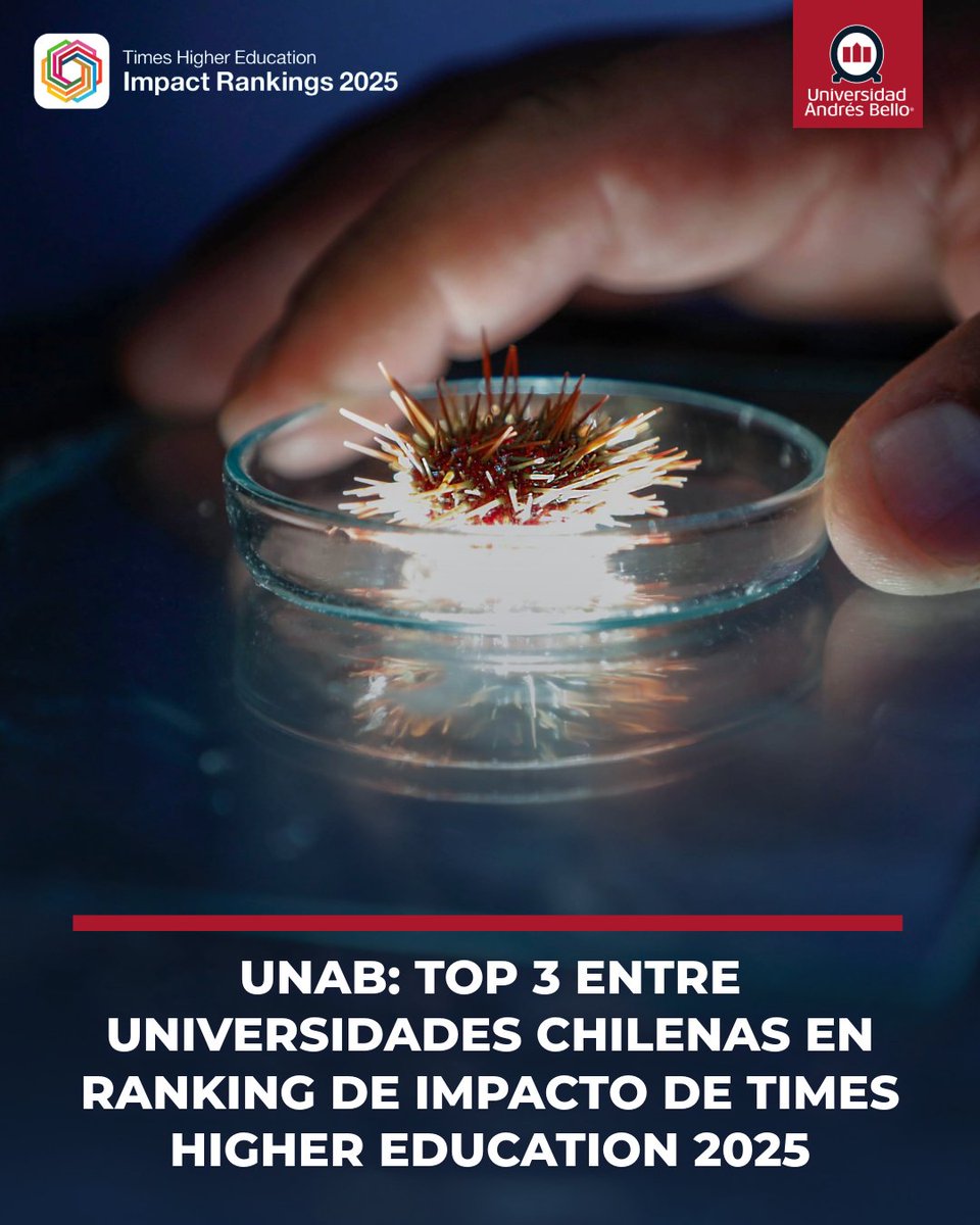 uandresbello's tweet image. #OrgulloUNAB 🙌 La @uandresbello es reconocida como una de las tres mejores en Chile según el Ranking de Impacto Times Higher Education 2025, por su compromiso con los Objetivos de Desarrollo Sostenible (ODS) de las Naciones Unidas 🌎

La casa de estudios se ubicó entre las…