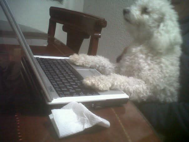 Oskarín Payachito 🐾 (@oskarinelperrin) on Twitter photo Fíjate fíjate tu secretaria
Ay seño que lolo pobre secretaria 🎶 Fíjate fíjate tu secretaria
Ay seño que lolo pobre secretaria 🎶