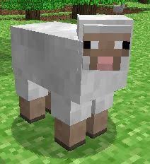 comunidademc's tweet photo. 🚨 FATO CURIOSO: ovelhas do Minecraft foram inspirados em ovelhas da vida real https://t.co/zOPhavSMf4