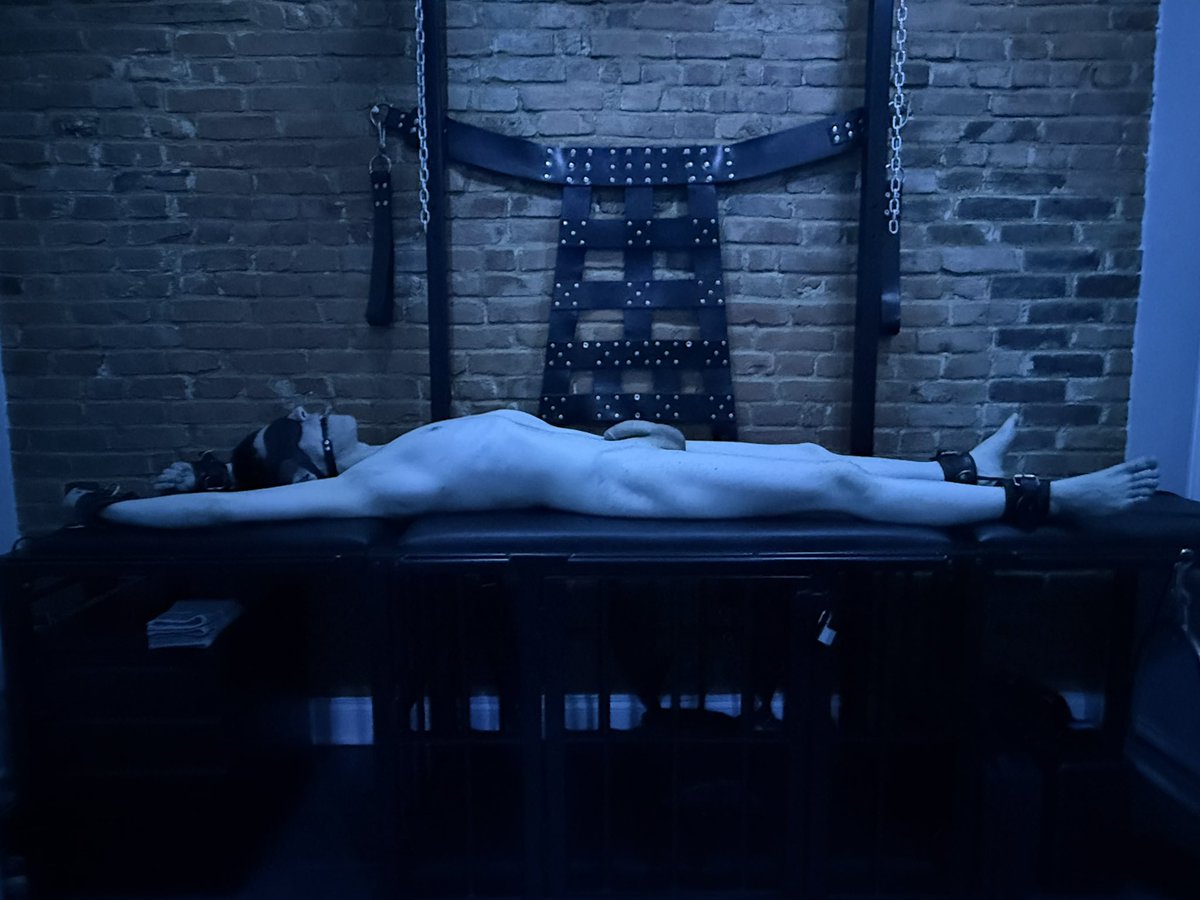 Maryland boy stretched out to his limits on the rack.  Slowly turned the crank to stretch him out more and more as he moaned.

Started with him on the cross where I beat his back with the flooger.   He shot a huge load before going home.  So expressive.  So much fun.  

Who is