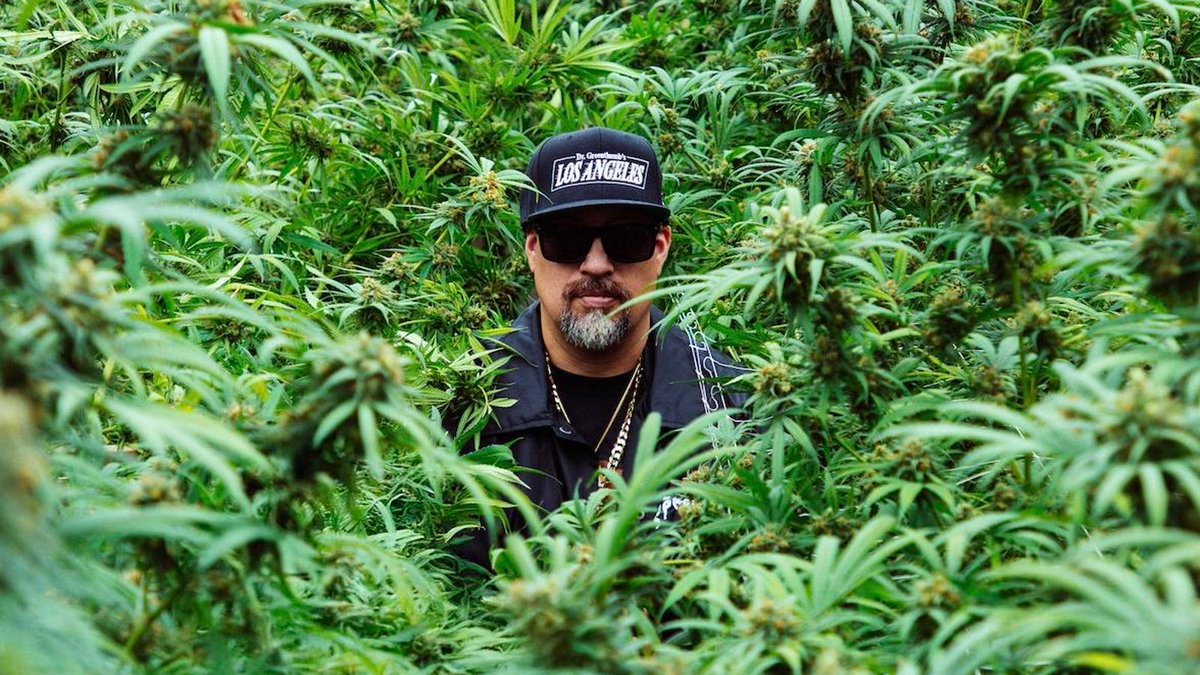 Inside The New Cannabis Power Play: Why B-Real, Mike Tyson And Method Man Are Betting On Seeds trib.al/LUTOgrR 

(Photo: Dr. Greenthumb’s)