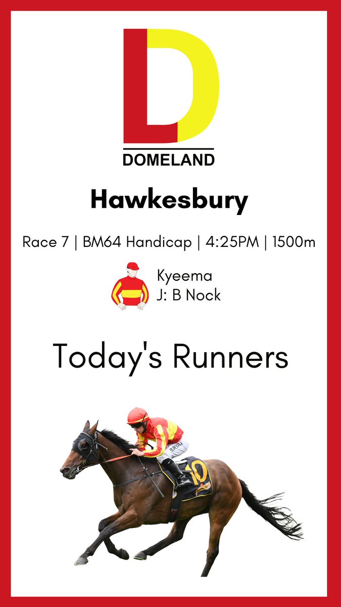 Domeland Racing (@domelandracing) on Twitter photo 