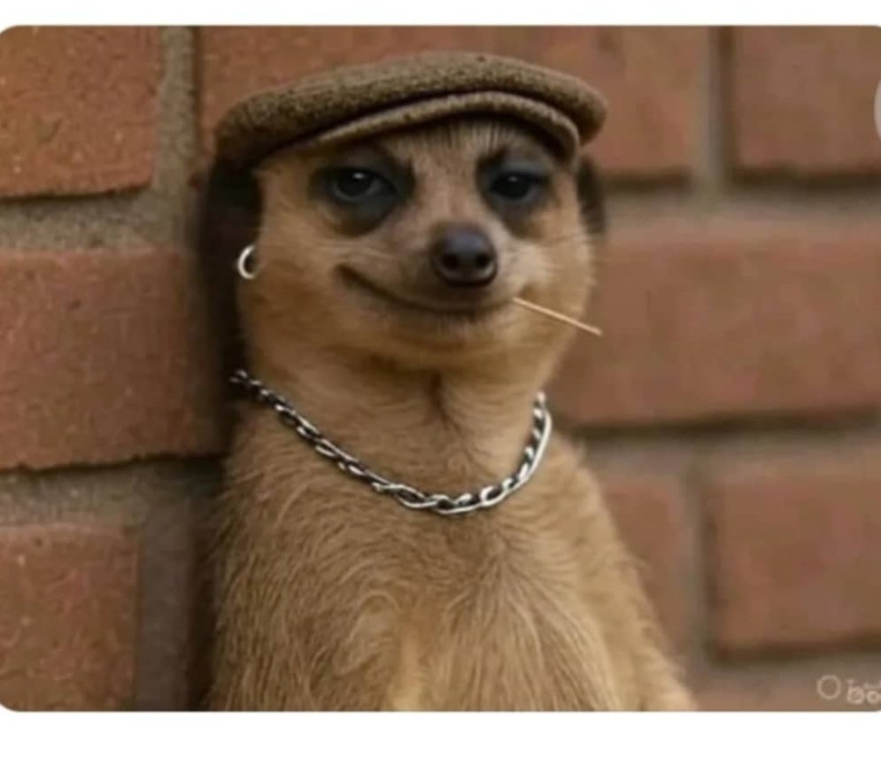 Farouk Olohuntosin tweet media