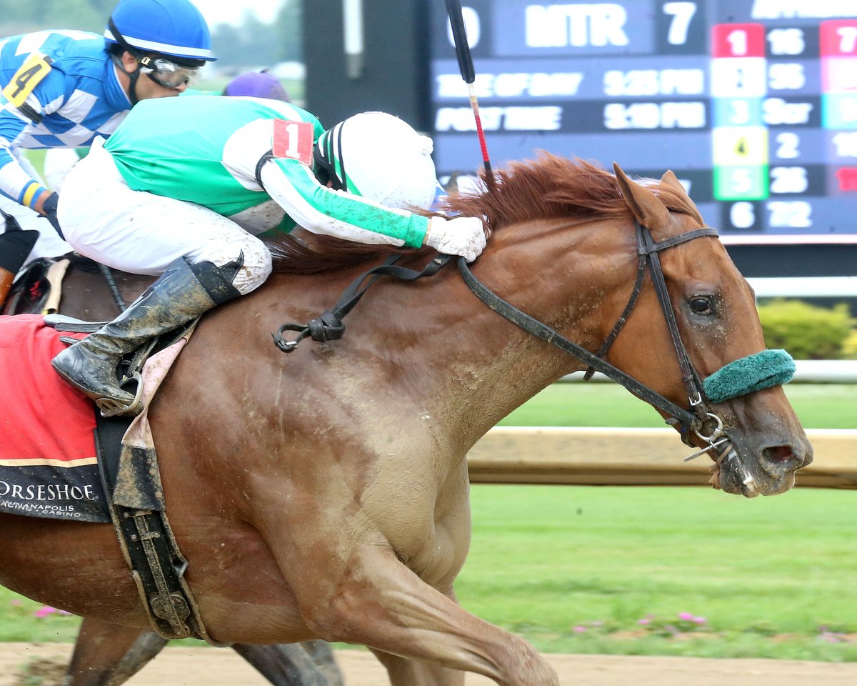 Tammy Knox (@hsindytammy) on Twitter photo Crosley cruises in Checkered Flag Wed. June 25 at Horseshoe Indianapolis: tammyknox.wordpress.com/2025/06/25/cro… Photos by Coady Media #racelikeacaesar <a href="/IndianaTOBA/">ITOBA</a> <a href="/IndianaHBPA/">Indiana HBPA</a> <a href="/IndyTBAlliance/">IndianaThoroughbredAlliance</a> <a href="/INThoroughbred/">Indiana Thoroughbred Development Program</a> Crosley cruises in Checkered Flag Wed. June 25 at Horseshoe Indianapolis: tammyknox.wordpress.com/2025/06/25/cro… Photos by Coady Media #racelikeacaesar <a href="/IndianaTOBA/">ITOBA</a> <a href="/IndianaHBPA/">Indiana HBPA</a> <a href="/IndyTBAlliance/">IndianaThoroughbredAlliance</a> <a href="/INThoroughbred/">Indiana Thoroughbred Development Program</a>