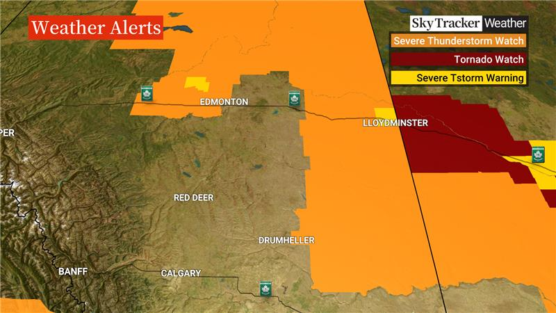 Joelle Tomlinson (@_joelleonair) on Twitter photo On your weather desk tonight with <a href="/GlobalCalgary/">Global Calgary</a>!
Of note: #ECCC has issued a #TornadoWatch for areas of east-central AB. The advisory states conditions are favourable for the development of severe thunderstorms which may produce tornadoes late Wednesday afternoon and evening. On your weather desk tonight with <a href="/GlobalCalgary/">Global Calgary</a>!
Of note: #ECCC has issued a #TornadoWatch for areas of east-central AB. The advisory states conditions are favourable for the development of severe thunderstorms which may produce tornadoes late Wednesday afternoon and evening.