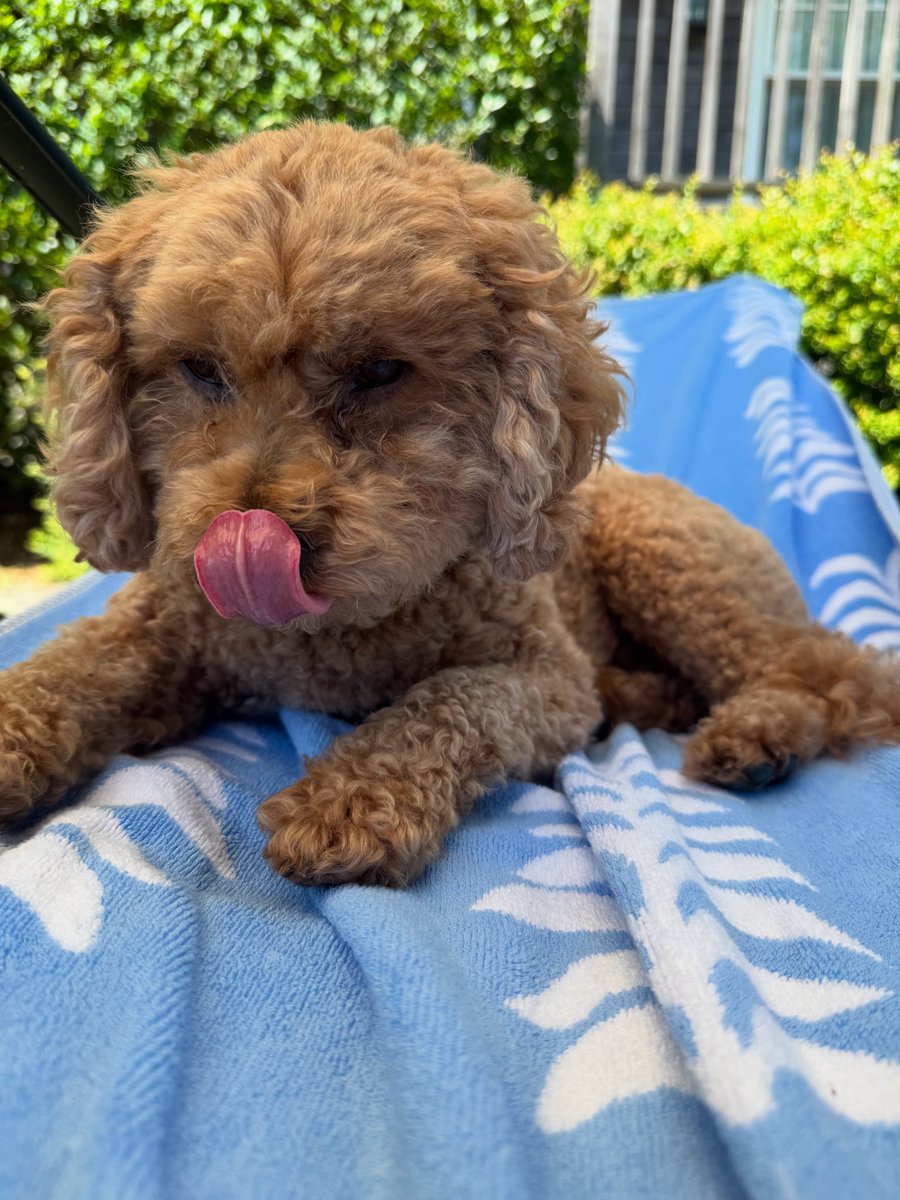 Thinking about bacon.