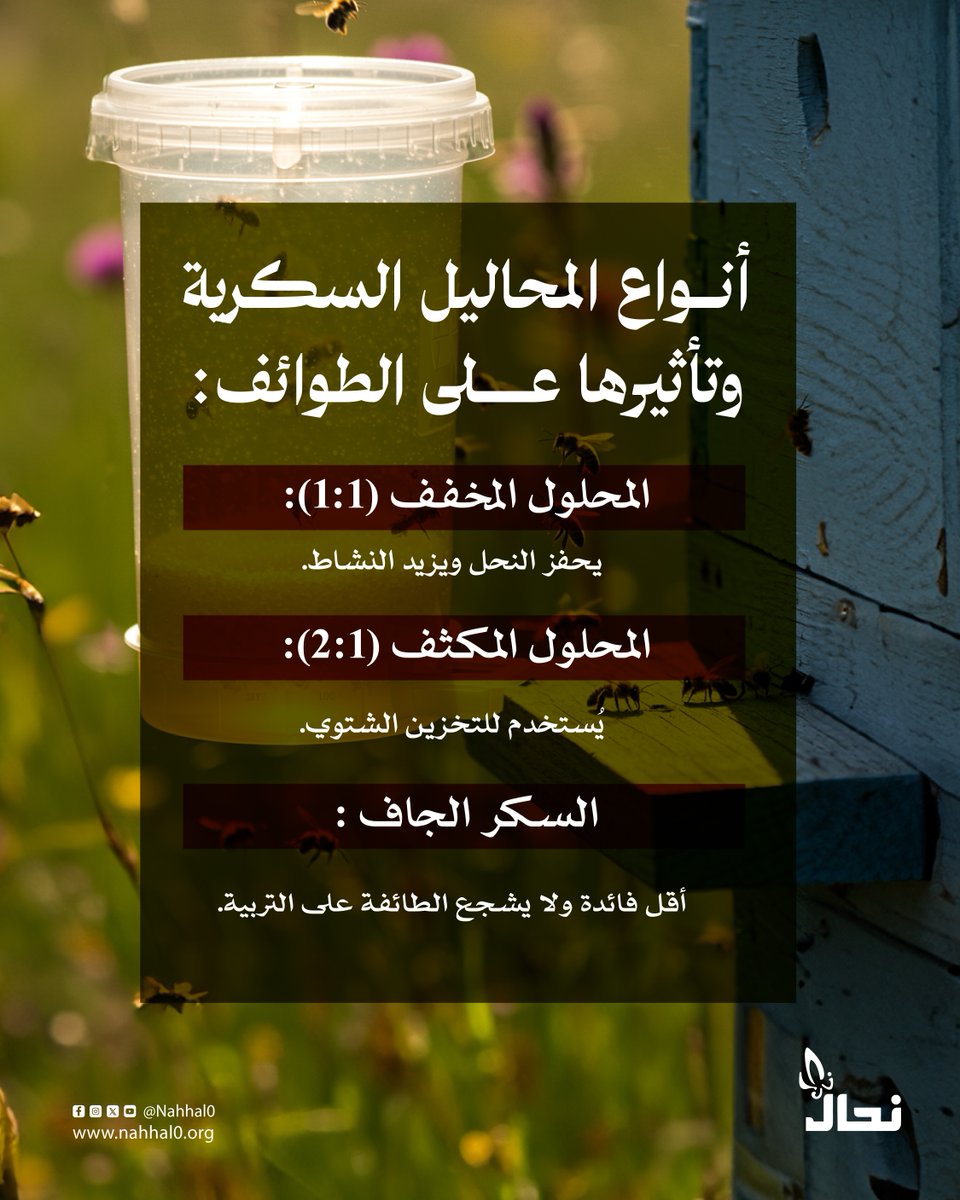 جمعية نحال tweet media