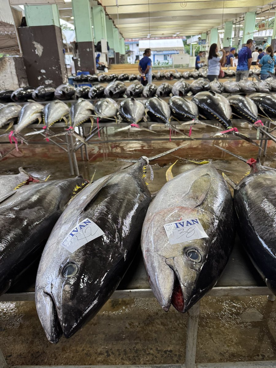 Lionel Dabbadie tweet media