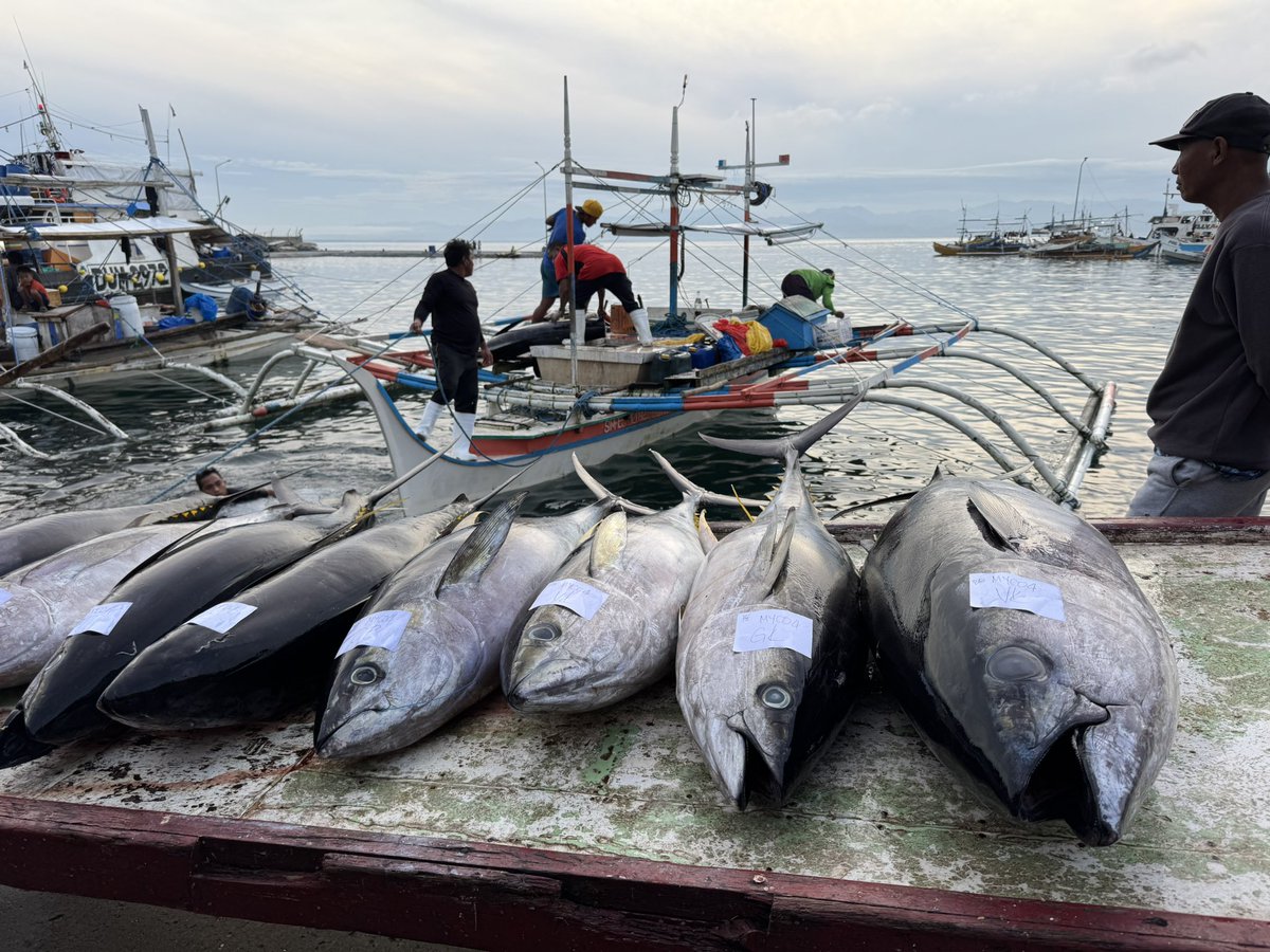 Lionel Dabbadie tweet media