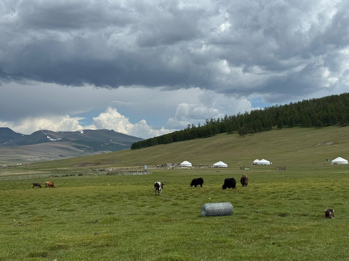 Өглөөний мэнд