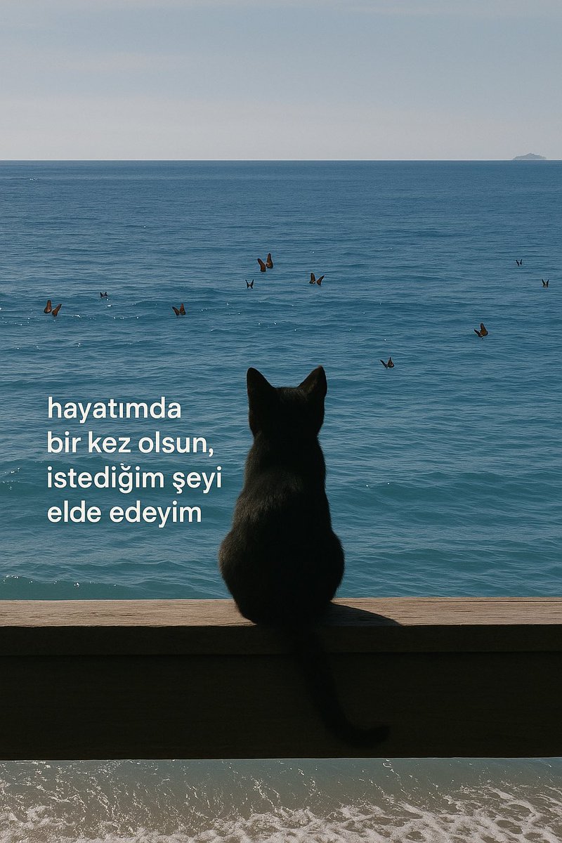 haklı (@asirihaklii) on Twitter photo 