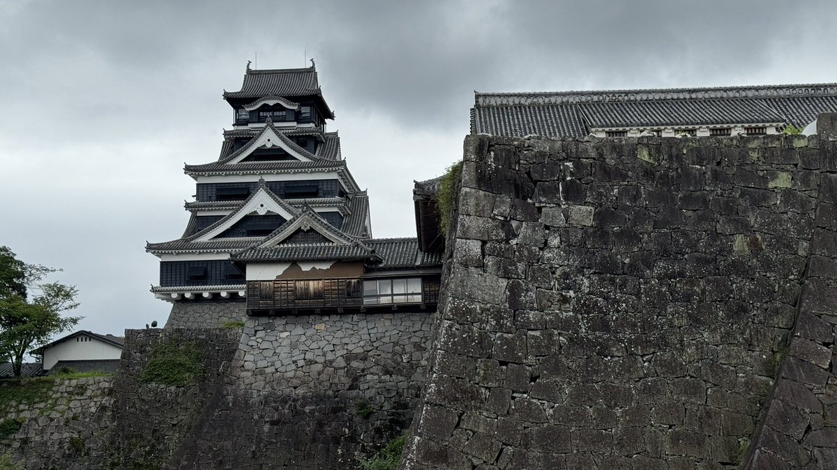 おはようございます。

もう暑いて〜〜梅雨早く明けてくれ〜〜とか言ってたらもうすぐ上半期終わりじゃないですか。

何をしていたんだ私は。