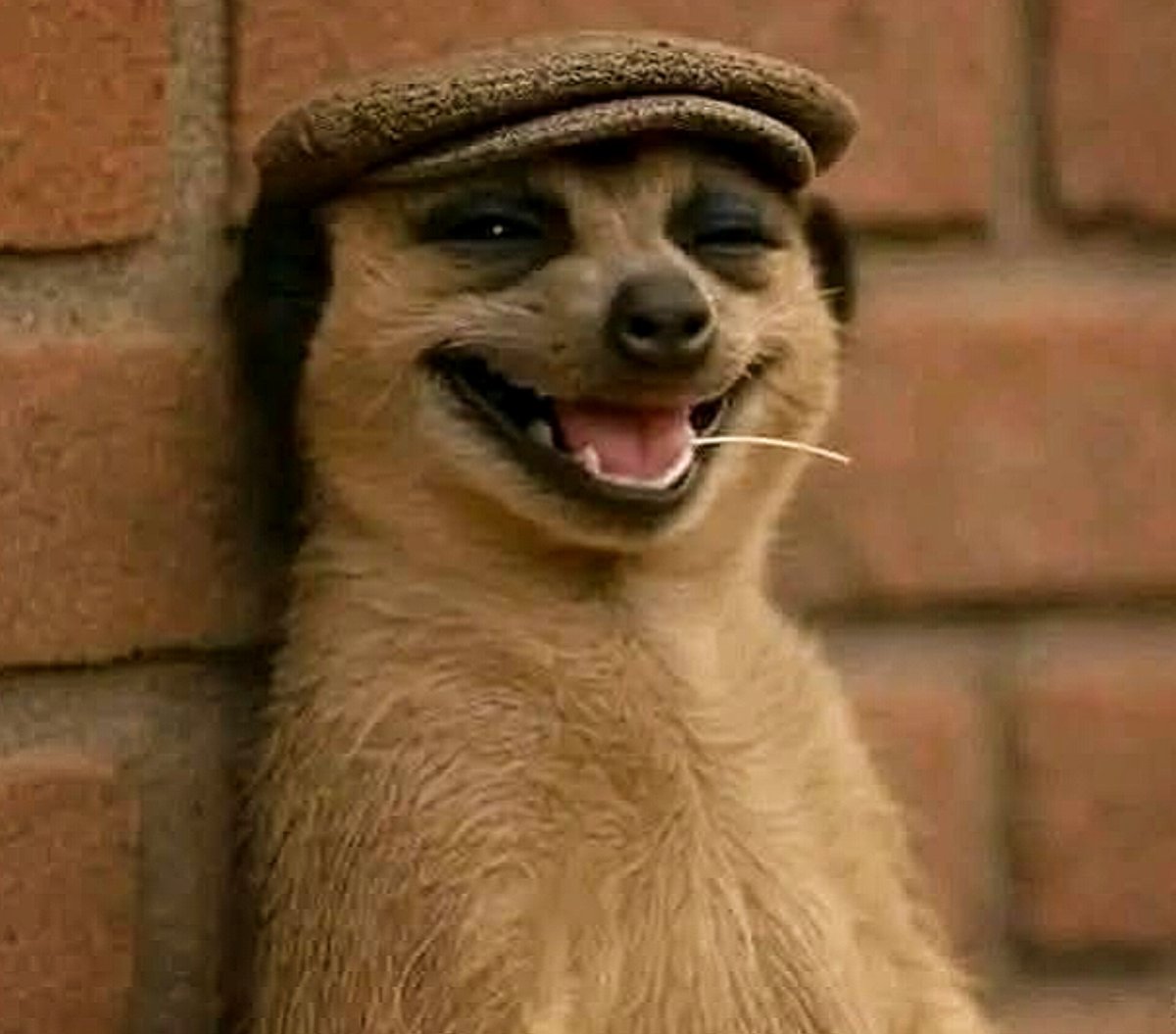 "Sapa" watching you say "I will take savings seriously in 2025" 😂

#Savings #Sapa #SavingsTips