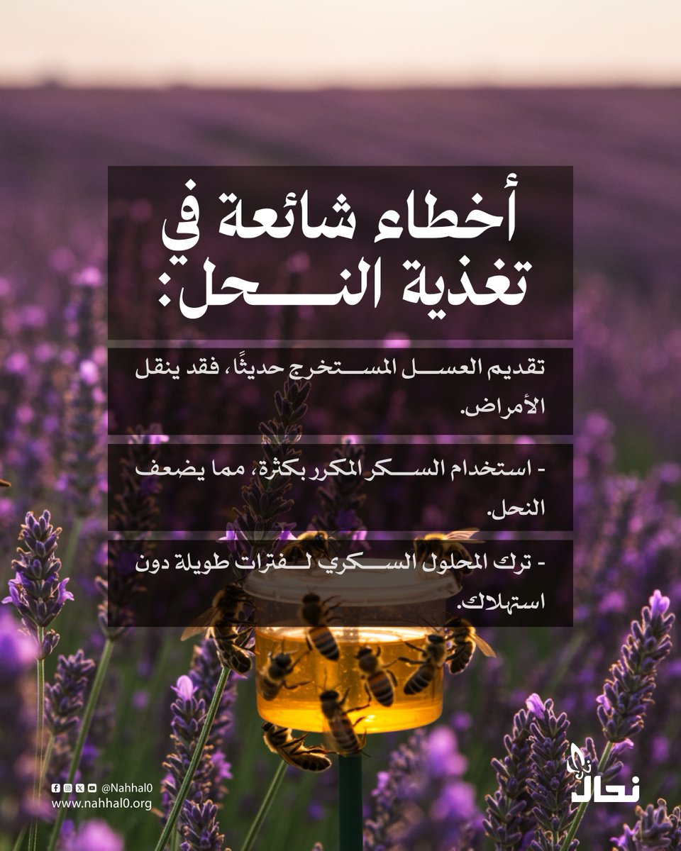 جمعية نحال tweet media